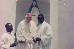 fr.-louis3